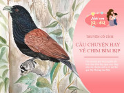 Nuôi con IQ EQ - Truyện cổ tích: Sự tích chim Bìm Bịp
