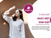 Clip Eva - 3 con giáp sở hữu nhan sắc trời phú, sớm nở rộ thành đại mỹ nhân