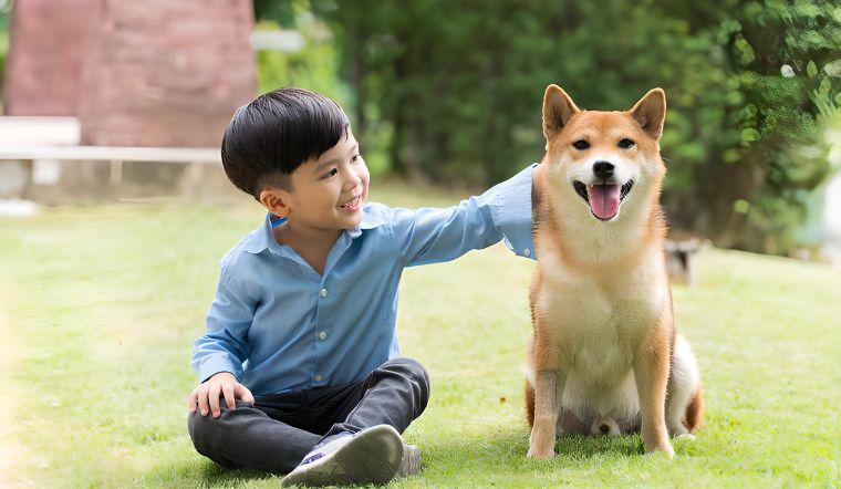 Việc nuôi thú cưng không có tiêm phòng, không rọ mõm rất nguy hiểm. Ảnh minh họa. 