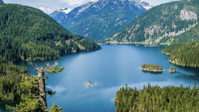 Những người thực sự có thể ở một mình, họ thường không đơn giản - 3