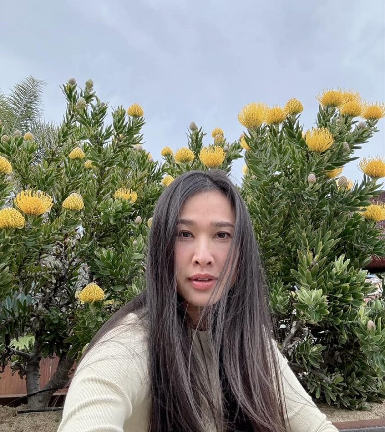 Dương Mỹ Linh khoe vườn hoa protea trước cửa nhà. Cô còn dụ Hoa hậu Hà Kiều Anh trồng hoa này tại nhà đàn chị ở Mỹ vì thấy rất đẹp.