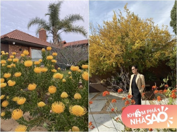Nhà của Hoa hậu Dương Mỹ Linh ở Mỹ: Vườn đẹp như quán cà phê, trước cửa có loài hoa rực rỡ