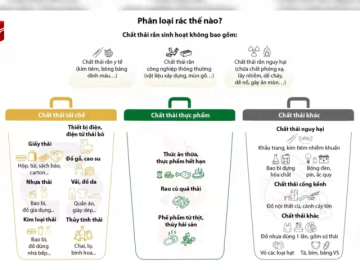 Hướng dẫn nhận biết các loại rác thải