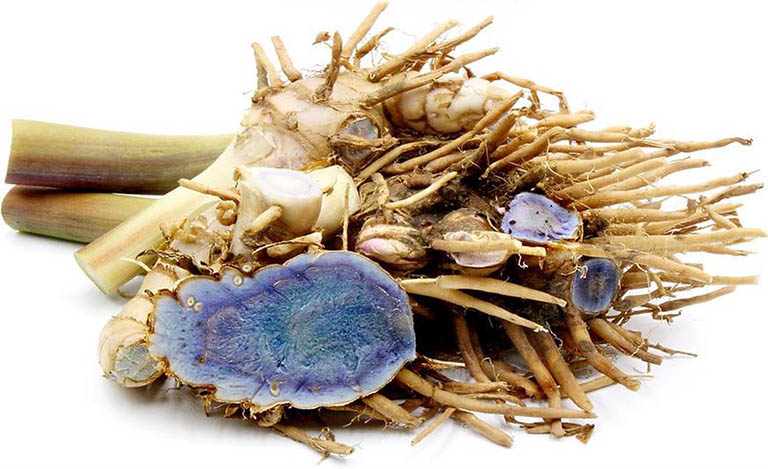 Nga truật dùng không đúng lượng có thể gây nguy hại cho phụ nữ mang thai.