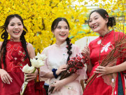 Lifestyle - Nô nức check-in nhà sàn, vườn mai vàng rực ở trung tâm TPHCM