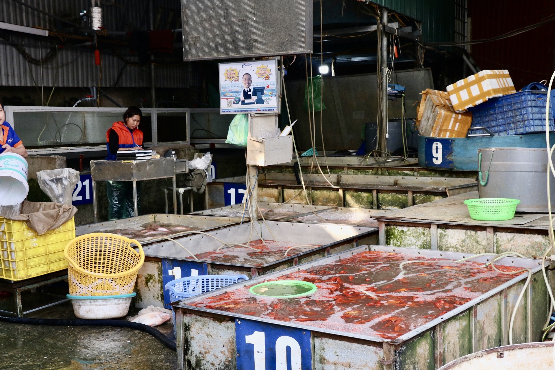 Tết ông Công ông Táo là một nghi thức mang đậm nét văn hoá tâm linh của người Việt, thường diễn ra vào ngày 23 tháng Chạp hằng năm. Đây được xem là thời điểm các gia đình sắm sửa để tiễn ông Công ông Táo về trời báo cáo mọi việc trong một năm qua.