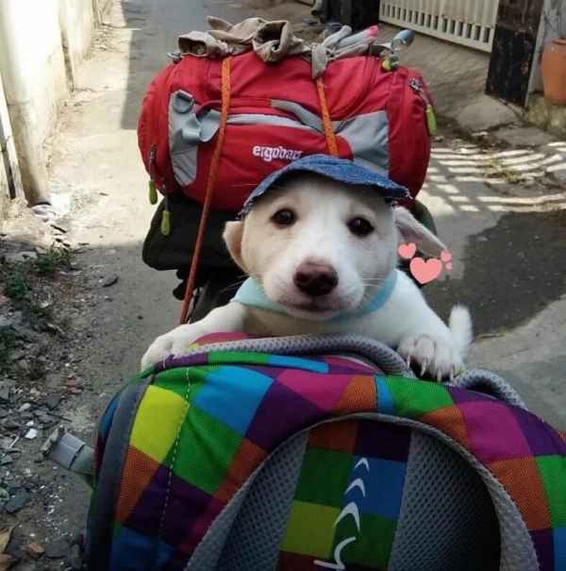 Các con sen đưa boss về quê ăn Tết nhìn "ôm bụng cười"