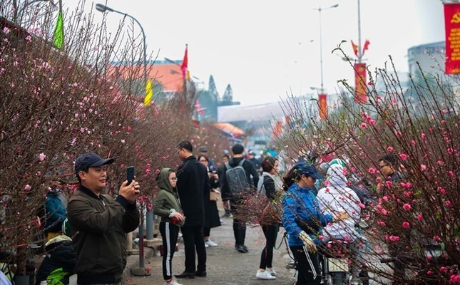 (Ảnh minh họa từ Internet)