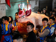 Lifestyle - Hàng nghìn người xuyên đêm rước lợn bằng kiệu để cầu may