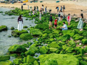 Lifestyle - Bãi đá hình vòng cung ở Quy Nhơn hóa 'dải lụa xanh' hút du khách check-in