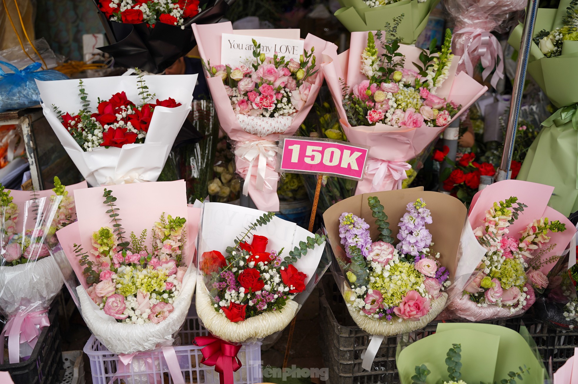 Giới trẻ săn túi mù Baby Three, hoa tulip trồng chậu tặng người yêu ngày Valentine - 2