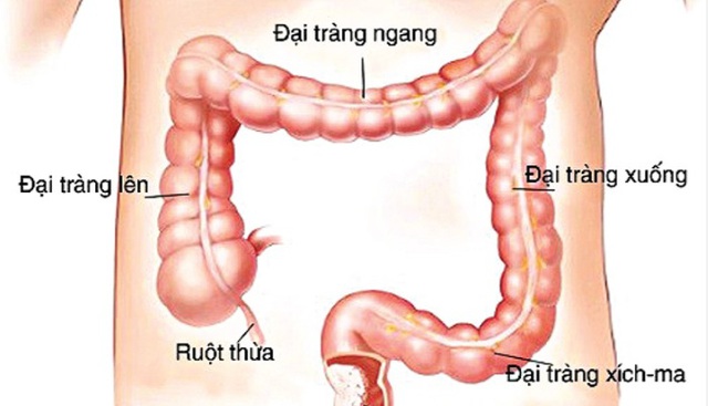 Tác phẩm nghệ thuật