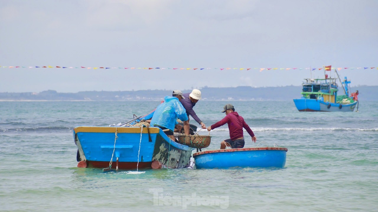Vùng đánh bắt chỉ cách bờ khoảng 4 hải lý nên tàu đánh ruốc đi về trong ngày. Năm nay, ngư dân hồ hởi khi trúng đậm ruốc biển. Ảnh: Nguyễn Ngọc