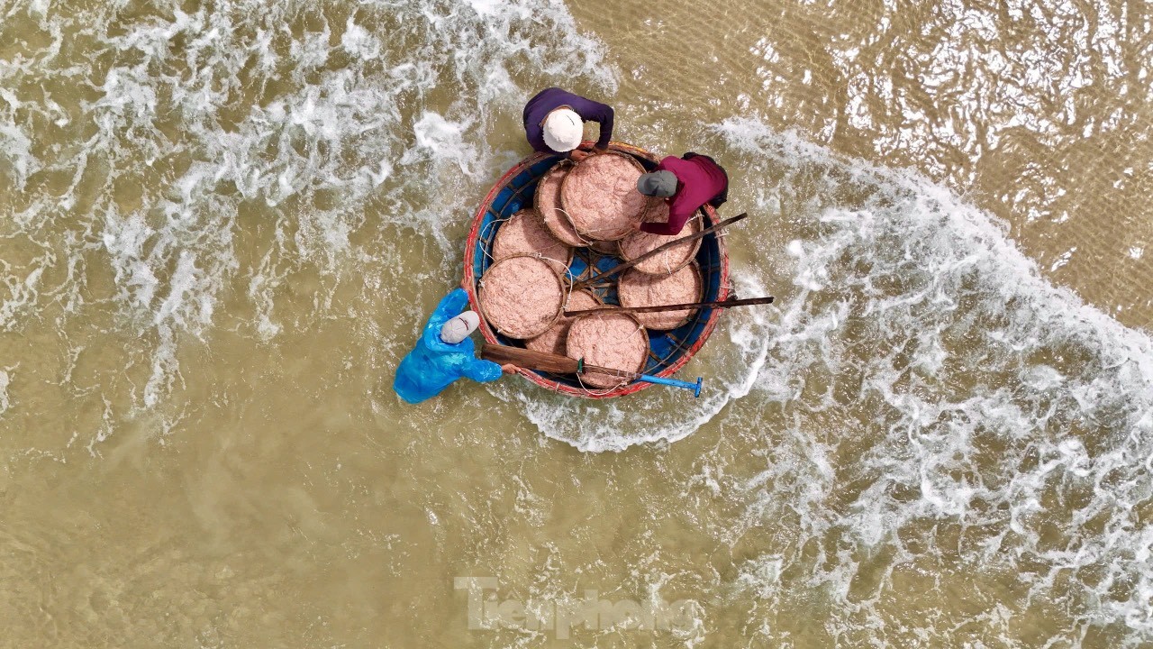 “Con ruốc chỉ đánh bắt vào ban ngày ở vùng biển gần bờ. Tàu đến vị trí có đàn ruốc thì dùng vợt xúc hoặc vây lưới. Mỗi ngày một tàu của tôi có thể đánh bắt từ 1 – 1,5 tấn ruốc tươi, với giá cả như hiện nay, trung bình tàu thu về từ 20 – 30 triệu đồng/ngày”, ông Hải nói. Ảnh: Nguyễn Ngọc