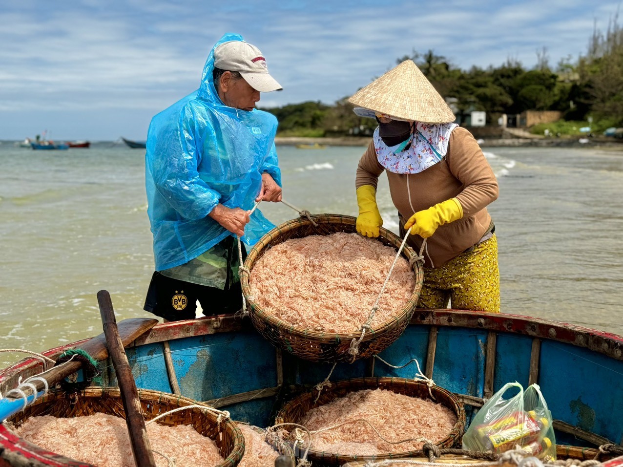 Ngư dân Quảng Ngãi bội thu ruốc biển, amp;#34;kiếm khỏeamp;#34; tiền triệu mỗi ngày - 11