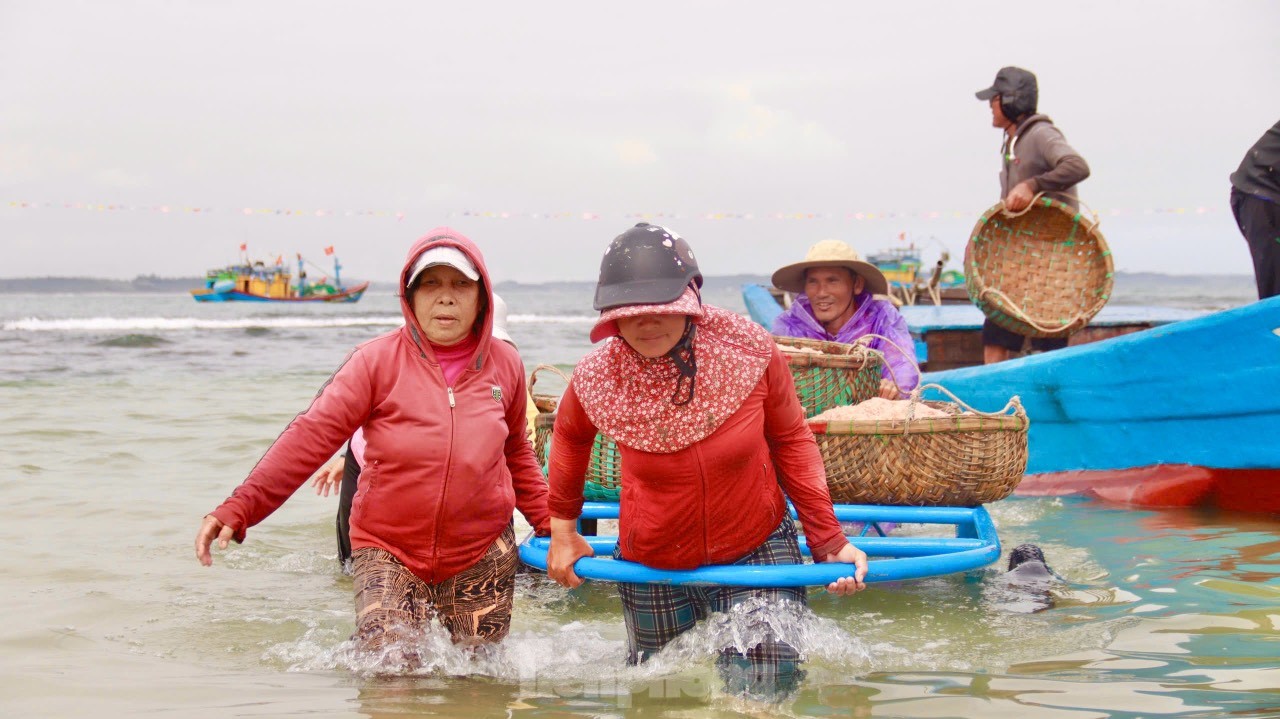 Ngư dân Quảng Ngãi bội thu ruốc biển, amp;#34;kiếm khỏeamp;#34; tiền triệu mỗi ngày - 5