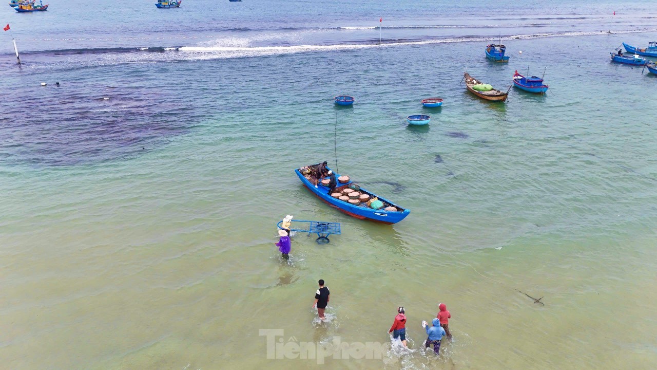 Liên tục trong những ngày qua, vùng bãi ngang xã Bình Châu (huyện Bình Sơn, tỉnh Quảng Ngãi) luôn tấp nập tàu cá vào bán ruốc. Trung bình mỗi tàu đánh ruốc có từ 3 - 7 lao động, tùy thuộc vào tàu có công suất lớn hay nhỏ. Ảnh: Nguyễn Ngọc