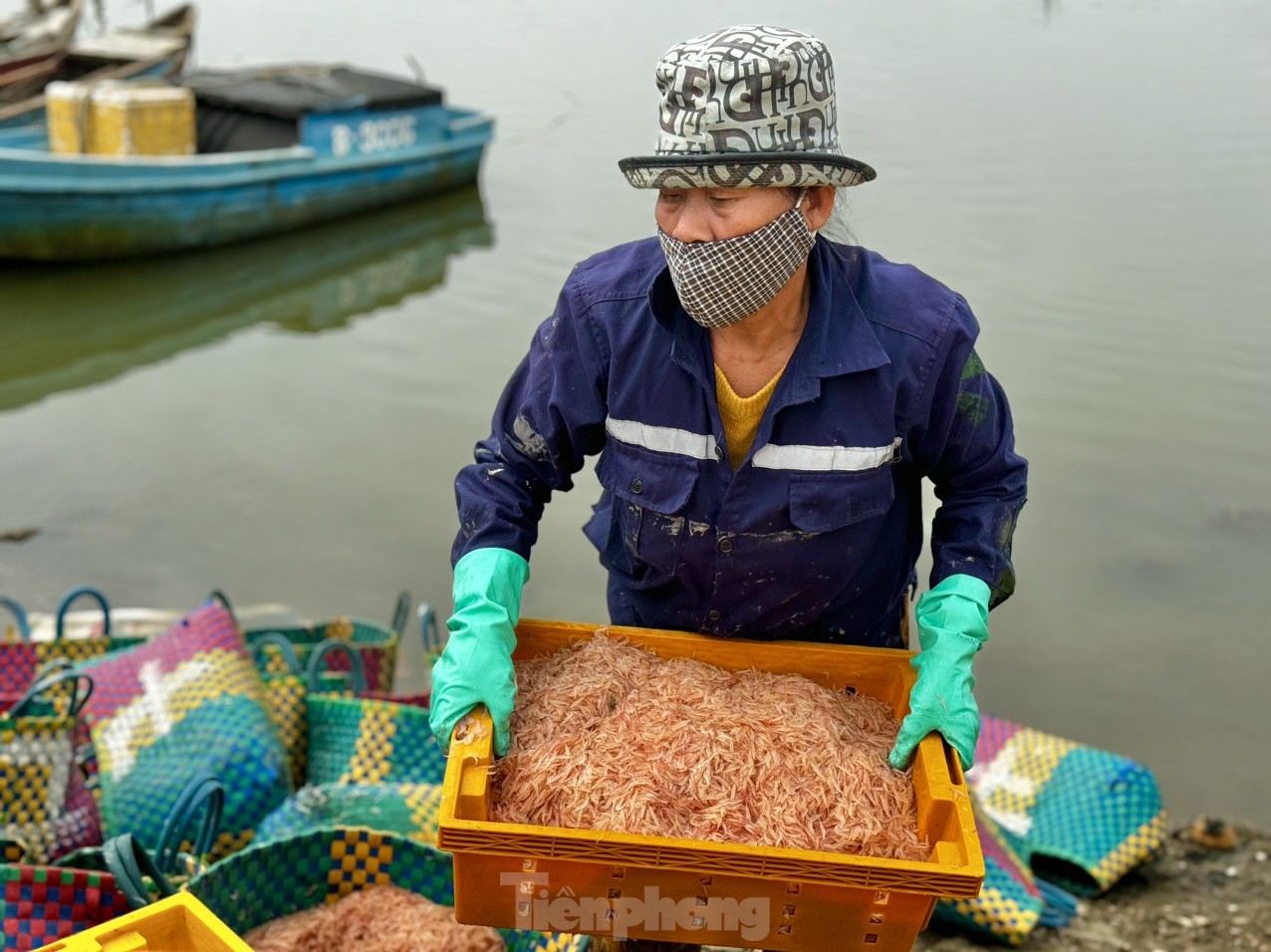 Ngư dân Quảng Ngãi bội thu ruốc biển, amp;#34;kiếm khỏeamp;#34; tiền triệu mỗi ngày - 18