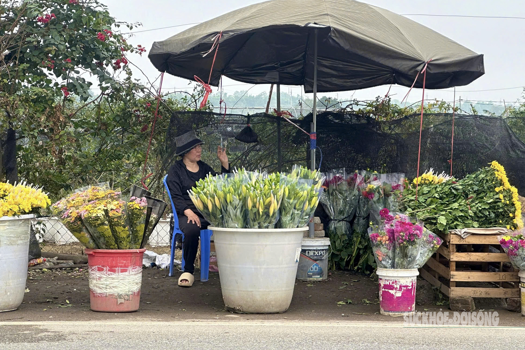 img src/upload/1-2025/images/2025-03-05/1741131668-nguoi-dan-vua-hoa-lon-nhat-ha-noi-tat-bat-cham-hoa-cho-dip-ngay-quoc-te-phu-nu-1-53159-width1772height1181.jpg width660 /