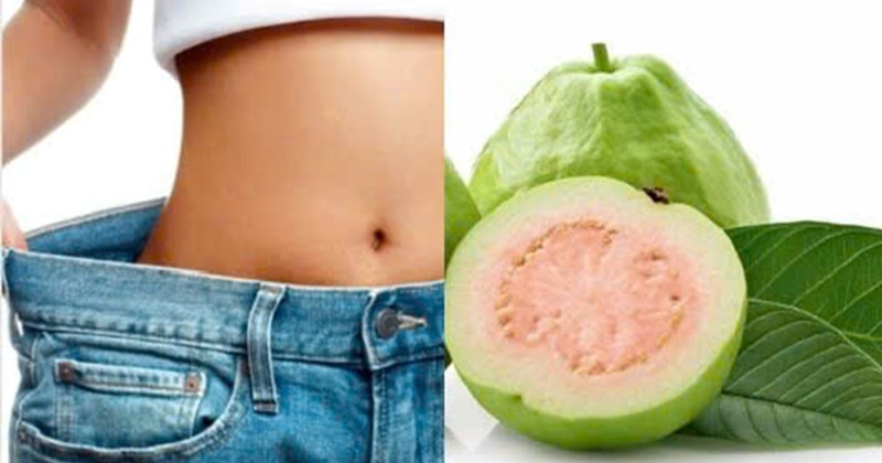 Guava có nhiều chất xơ để giúp tiêu hóa chậm, kiểm soát trọng lượng.