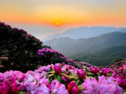 Lifestyle - Trekker lên đường chinh phục đỉnh Putaleng, săn “nữ hoàng hoa Tây Bắc“
