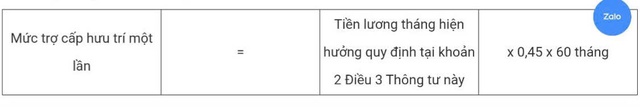 Chi tiết cách tính hưởng chính sách nghỉ hưu sớm đối với công chức, viên chức - 7