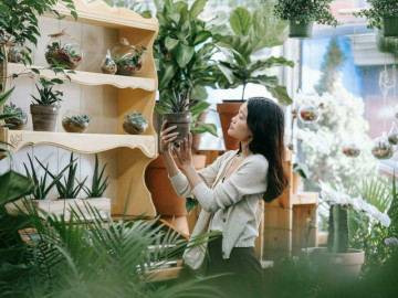 Gen Z tìm về những thú chơi thời ông bà