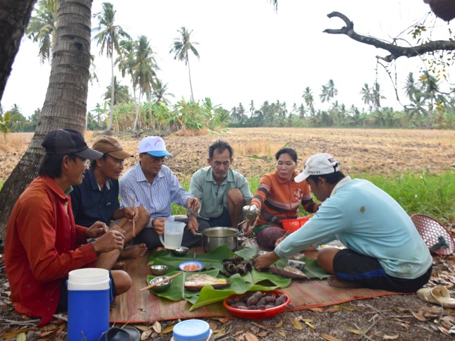 Trong thời gian chờ đợi, bà con hàng xóm tụ tập ngồi trên bờ uống trà, nhâm nhi vài ly rượu trò chuyện. Khoảng hơn 1 tiếng đồng hồ, người thợ sẽ kéo lưới gom cá về một đầu đìa dùng vợt to để xúc cá lên.