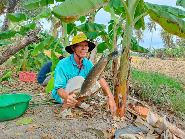 Chủ nhà sẽ lựa những con cá to, ngon đãi bà con hàng xóm.