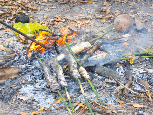 Cá lóc chụp đìa nướng trui tại chỗ để những người tham gia cùng ăn lúc xong việc.