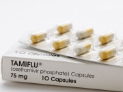 Sức khỏe - TS.BS Lê Quốc Hùng: Tamiflu không có tác dụng điều trị đối với cúm B và cúm C