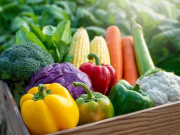 Sức khỏe - Hệ miễn dịch kém, lưu ngay 7 nhóm thực phẩm cứu nguy trước sốt xuất huyết