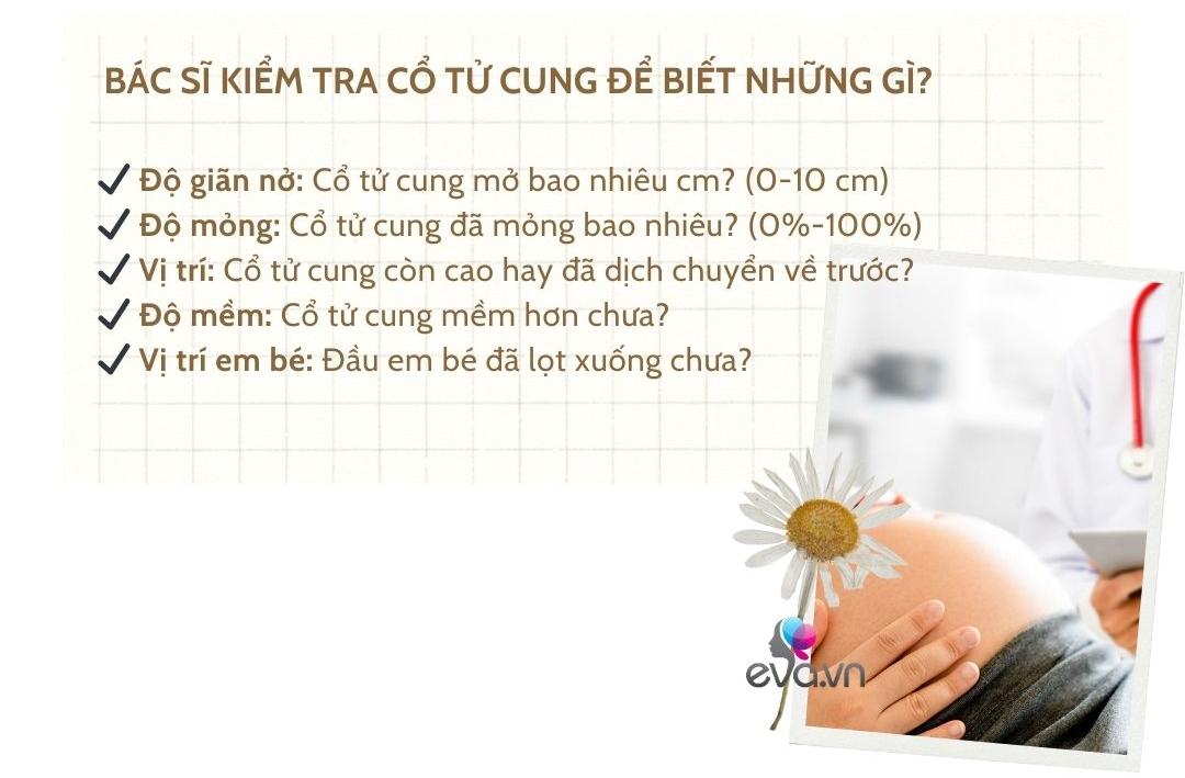 Kiểm tra cổ tử cung: Thủ thuật amp;#34;ám ảnhamp;#34; khiến mẹ bầu chỉ muốn chạy ngay đi! - 4