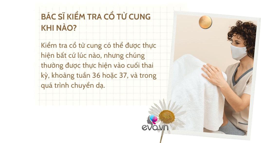 Kiểm tra cổ tử cung: Thủ thuật amp;#34;ám ảnhamp;#34; khiến mẹ bầu chỉ muốn chạy ngay đi! - 2