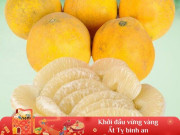 Bếp Eva - Cách chọn bưởi Diễn thơm nức, ngọt sắc để dành ăn Tết Ất Tỵ