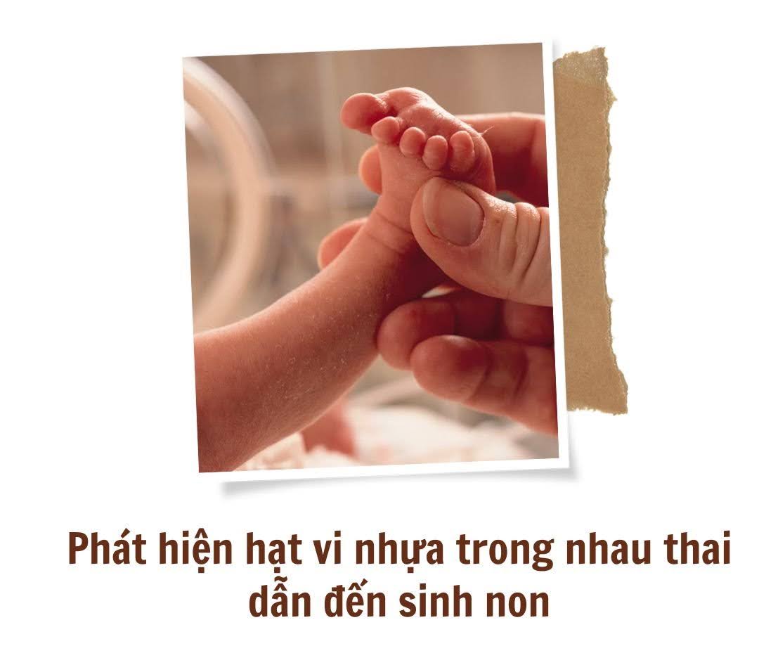 Thai nhi chưa chào đời đã amp;#34;ănamp;#34; nhựa, các nhà khoa học cảnh báo mối nguy tiềm ẩn - 2