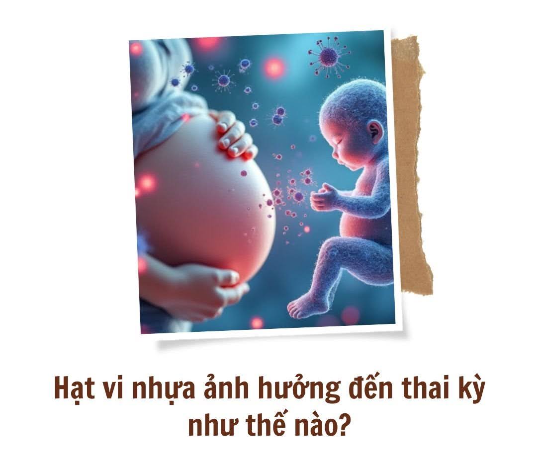 Thai nhi chưa chào đời đã amp;#34;ănamp;#34; nhựa, các nhà khoa học cảnh báo mối nguy tiềm ẩn - 4