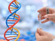 Bà bầu - 7 đột phá trong IVF và y học di truyền