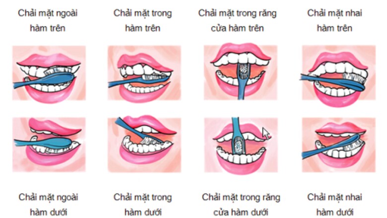 Đánh răng đúng cách có thể giúp bạn sở hữu hàm răng sạch sẽ, sáng và đều.