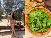 Đẹp - Loại rau được ví là "hàng hiệu trong giới thực vật", giá 7 triệu/kg nhưng nhiều người vẫn săn tìm vì muốn trẻ mãi không già