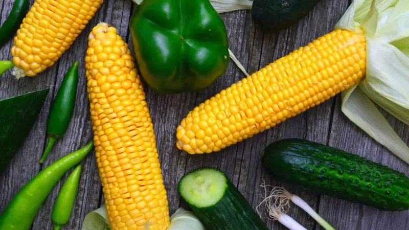 Bắp ngô cung cấp tinh bột và chất xơ, dưa chuột giàu nước và chất xơ, cả hai loại rau củ này đều giúp chị em no lâu mà lại tiêu thụ ít calo.