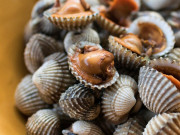 Bếp Eva - Nướng sò huyết hay bị khô quắt, nhớ 3 điều này con nào cũng ngọt ngon mọng nước