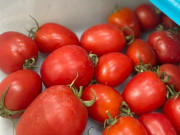 Bếp Eva - Mẹ đảm gợi ý cách trữ đông cà chua cực hay, để lâu ăn vẫn ngon như vừa mới hái