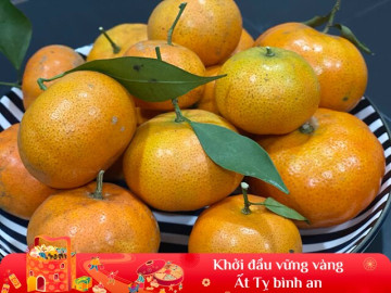 Mẹo chọn cam Canh ngon ngọt, nhiều nước để ăn Tết, người kinh nghiệm mách những tuyệt chiêu này