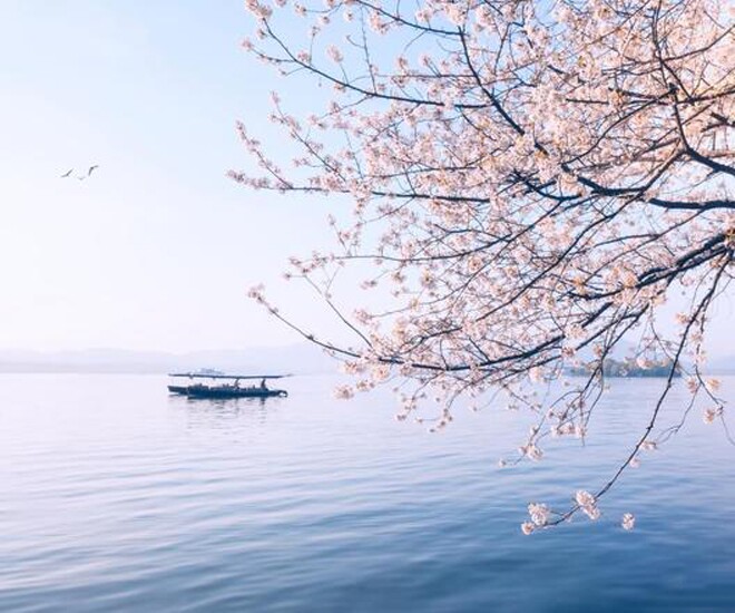 3 chữ này là cách xử lý mọi vấn đề khôn ngoan, khéo léo nhất - 1
