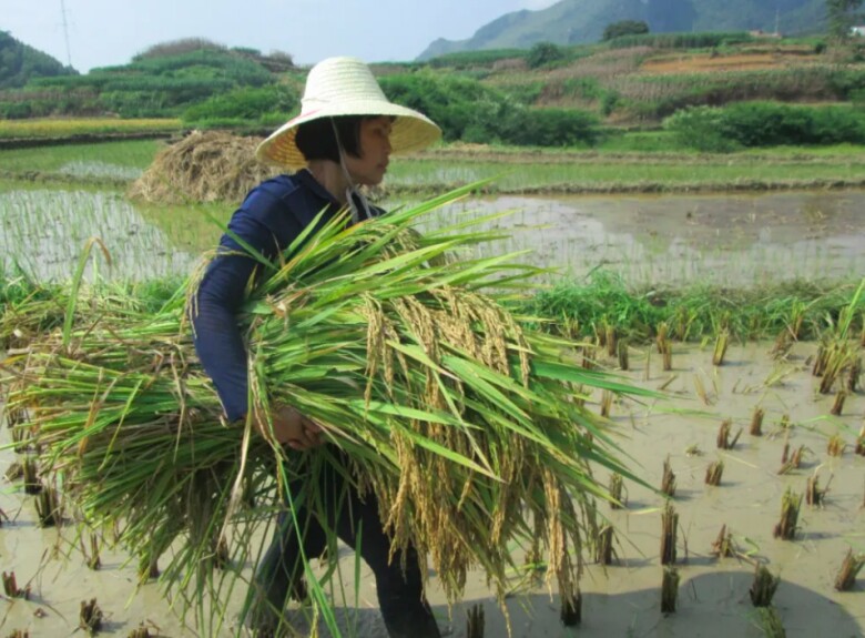 Bỏ lại phố thị, người phụ nữ về vùng núi sâu, dành nửa cuộc đời xây dựng “ngôi nhà yêu thương” cho trẻ em nghèo - 3