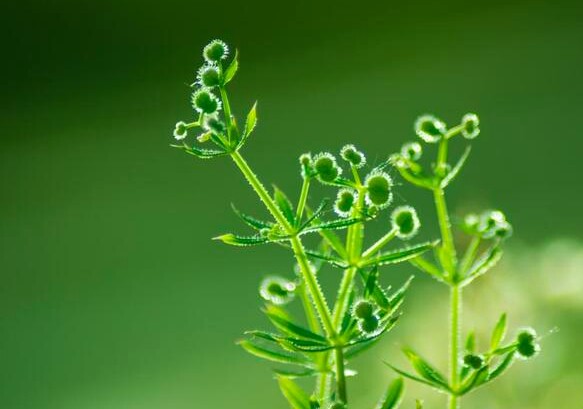 Cuộc sống một người ở tuổi trung niên có tốt hay không, cứ nhìn 3 điểm này là rõ - 3