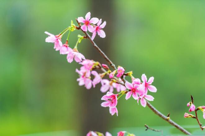 May mắn của một người có vượng hay không đều nằm trong 2 chữ này - 3