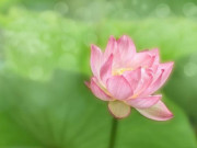 Eva tám - Phụ nữ càng thích làm 3 điều này sẽ ngày càng có giá trị