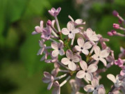 Eva tám - Người thực sự khôn ngoan dù đứng trước ai cũng sẽ không tiết lộ 3 “lá bài” này